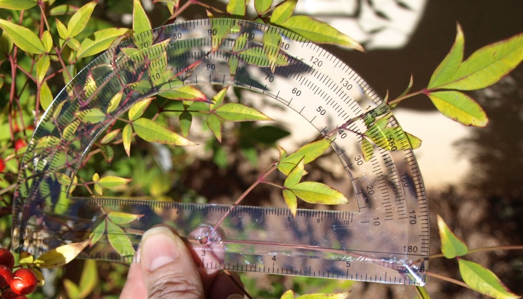 Measuring angles in the garden 3