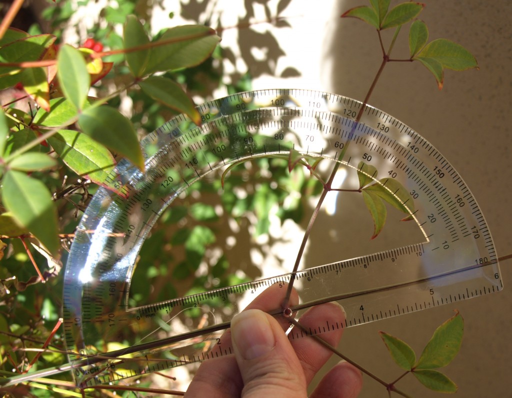 Measuring angles in the garden 2